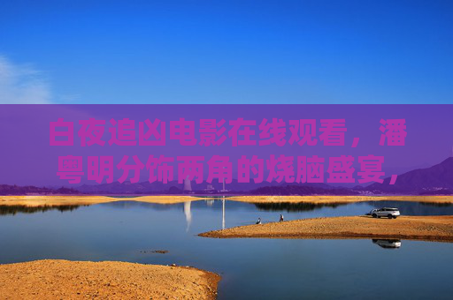 白夜追凶电影在线观看，潘粤明分饰两角的烧脑盛宴，全网热播资源汇总，潘粤明分饰两角！白夜追凶电影烧脑盛宴全网热播资源在线观看