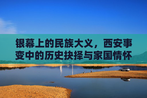 银幕上的民族大义，西安事变中的历史抉择与家国情怀，银幕里的西安事变，历史抉择与家国情怀