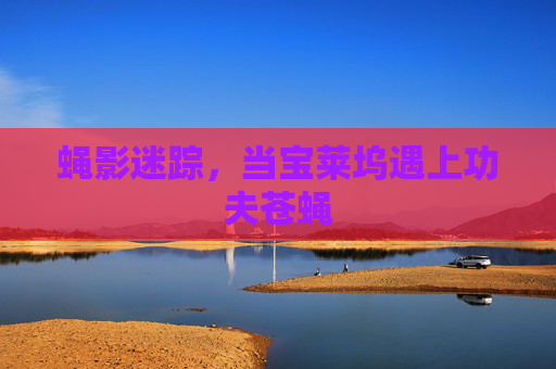蝇影迷踪，当宝莱坞遇上功夫苍蝇
