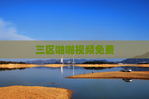 三区啪啪视频免费