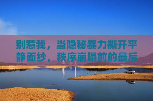 别惹我，当隐秘暴力撕开平静面纱，秩序崩塌前的最后警告，别惹我，隐秘暴力撕开平静面纱，秩序崩塌前的最后警告