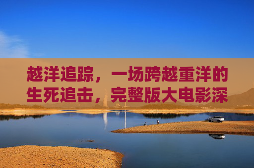 越洋追踪，一场跨越重洋的生死追击，完整版大电影深度解析