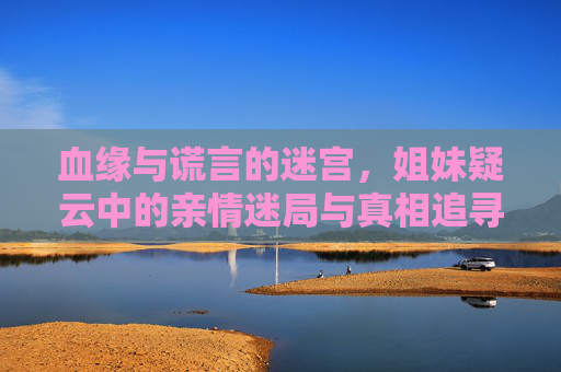 血缘与谎言的迷宫，姐妹疑云中的亲情迷局与真相追寻，姐妹疑云，血缘迷宫中的谎言与真相追寻