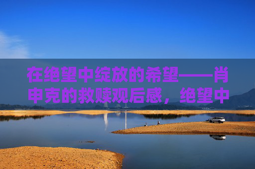 在绝望中绽放的希望——肖申克的救赎观后感,绝望中绽放的希望——肖申克的救赎 在绝望中绽放的希望——肖申克的救赎观后感,绝望中绽放的希望——肖申克的救赎