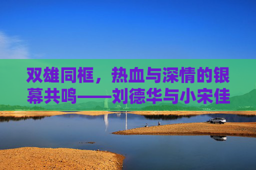 双雄同框，热血与深情的银幕共鸣——刘德华与小宋佳的拆弹式合作，刘德华小宋佳拆弹双雄，热血深情的银幕共鸣