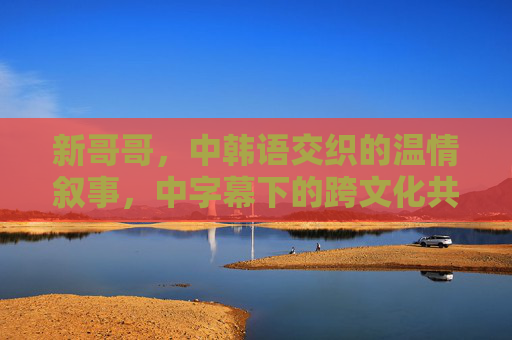 新哥哥，中韩语交织的温情叙事，中字幕下的跨文化共鸣，新哥哥，中韩语交织的温情与跨文化共鸣