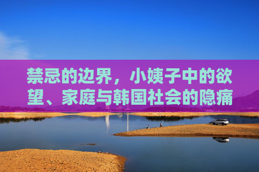 禁忌的边界，小姨子中的欲望、家庭与韩国社会的隐痛，禁忌边界，小姨子欲望、家庭伦理与韩国社会的隐痛