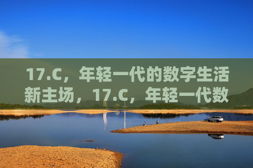 17.C,年轻一代的数字生活新主场,17.C,年轻一代数字生活新主场 17.C,年轻一代的数字生活新主场,17.C,年轻一代数字生活新主场
