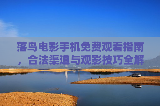 落鸟电影手机免费观看指南，合法渠道与观影技巧全解析，落鸟电影手机免费观看指南，合法渠道与观影技巧全解析