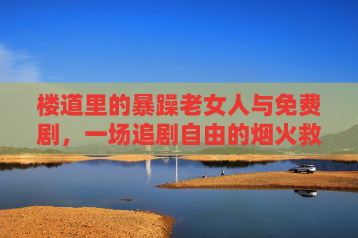 楼道里的暴躁老女人与免费剧,一场追剧自由的烟火救赎,楼道烟火,暴躁老女人的追剧自由救赎 楼道里的暴躁老女人与免费剧,一场追剧自由的烟火救赎,楼道烟火,暴躁老女人的追剧自由救赎