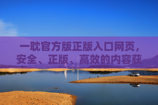 一耽官方版正版入口网页，安全、正版、高效的内容获取指南，一耽官方正版入口，安全高效内容获取指南