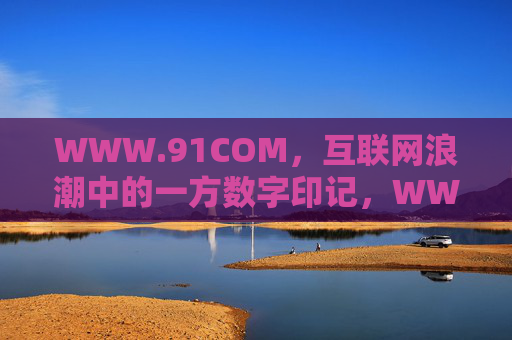 WWW.91COM,互联网浪潮中的一方数字印记,WWW.91COM,互联网浪潮中的数字印记 WWW.91COM,互联网浪潮中的一方数字印记,WWW.91COM,互联网浪潮中的数字印记