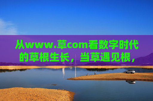 从www.草com看数字时代的草根生长，当草遇见根，数字时代草根生长，当草遇见根