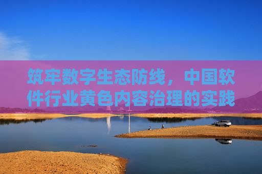筑牢数字生态防线，中国软件行业黄色内容治理的实践与展望，筑牢数字生态防线，中国软件行业黄色内容治理的实践与展望