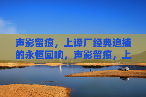 声影留痕,上译厂经典追捕的永恒回响,声影留痕,上译厂经典追捕的永恒回响 声影留痕,上译厂经典追捕的永恒回响,声影留痕,上译厂经典追捕的永恒回响