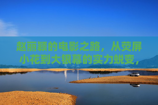 赵丽颖的电影之路，从荧屏小花到大银幕的实力蜕变，赵丽颖，荧屏小花到大银幕的实力蜕变