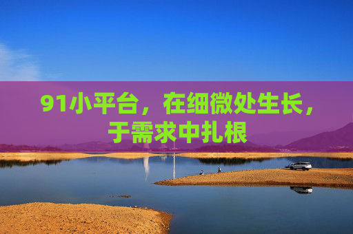 91小平台,在细微处生长,于需求中扎根 91小平台,在细微处生长,于需求中扎根