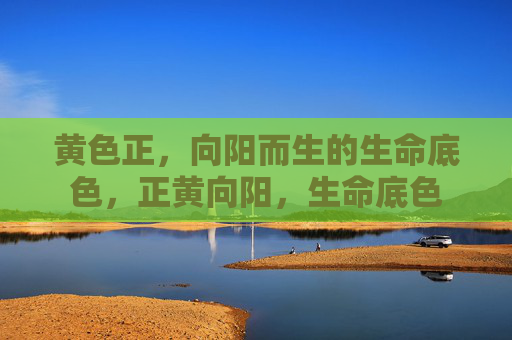 黄色正,向阳而生的生命底色,正黄向阳,生命底色 黄色正,向阳而生的生命底色,正黄向阳,生命底色