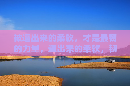 被逼出来的柔软,才是最韧的力量,逼出来的柔软,韧的力量 被逼出来的柔软,才是最韧的力量,逼出来的柔软,韧的力量