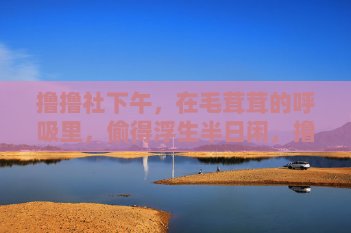 撸撸社下午，在毛茸茸的呼吸里，偷得浮生半日闲，撸撸社下午，毛茸茸呼吸里的浮生半日闲