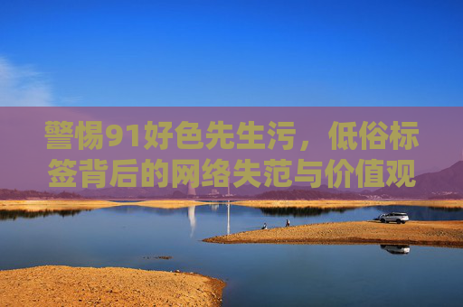 警惕91好色先生污，低俗标签背后的网络失范与价值观重构，警惕91好色先生污，低俗标签背后的网络失范与价值观重构