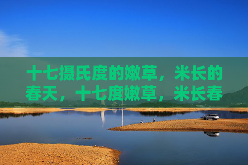 十七摄氏度的嫩草，米长的春天，十七度嫩草，米长春天