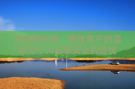 警惕黑料网，网络黑产的温床与个人信息安全的隐忧