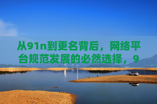 从91n到更名背后,网络平台规范发展的必然选择,91n更名,网络平台规范发展的必然选择 从91n到更名背后,网络平台规范发展的必然选择,91n更名,网络平台规范发展的必然选择
