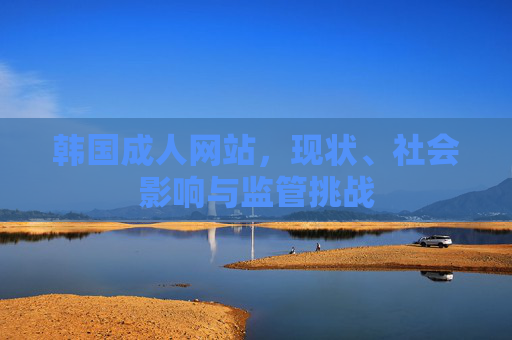 韩国成人网站,现状、社会影响与监管挑战 韩国成人网站,现状、社会影响与监管挑战