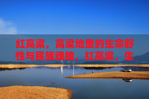 红高粱,高粱地里的生命野性与民族魂魄,红高粱,生命野性与民族魂魄 红高粱,高粱地里的生命野性与民族魂魄,红高粱,生命野性与民族魂魄