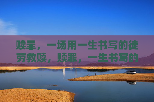 赎罪，一场用一生书写的徒劳救赎，赎罪，一生书写的徒劳救赎