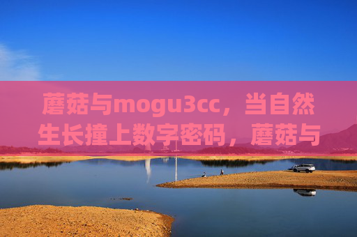 蘑菇与mogu3cc，当自然生长撞上数字密码，蘑菇与mogu3cc，自然生长撞上数字密码