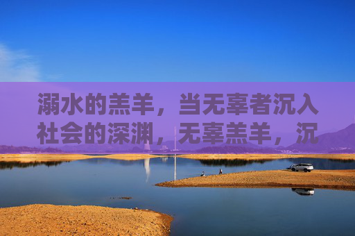 溺水的羔羊,当无辜者沉入社会的深渊,无辜羔羊,沉入社会深渊 溺水的羔羊,当无辜者沉入社会的深渊,无辜羔羊,沉入社会深渊