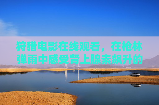 狩猎电影在线观看，在枪林弹雨中感受肾上腺素飙升的刺激体验，狩猎电影在线观看，枪林弹雨中的肾上腺素飙升