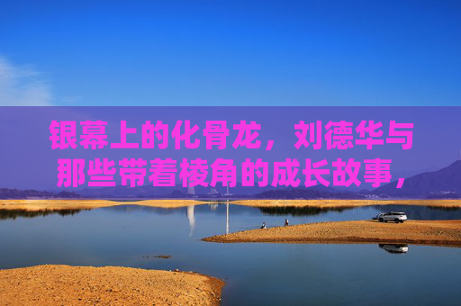 银幕上的化骨龙，刘德华与那些带着棱角的成长故事，银幕化骨龙，刘德华的棱角成长