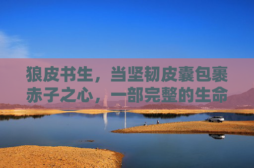 狼皮书生，当坚韧皮囊包裹赤子之心，一部完整的生命史诗，狼皮书生，坚韧皮囊裹赤心，生命史诗自成章