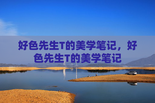 好色先生T的美学笔记，好色先生T的美学笔记