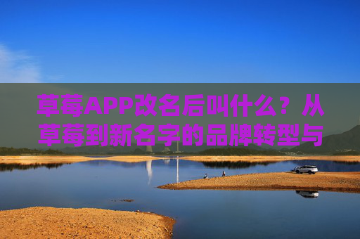 草莓APP改名后叫什么？从草莓到新名字的品牌转型与合规之路，草莓APP更名，品牌转型与合规之路