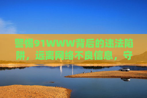 警惕91WWW背后的违法陷阱，远离网络不良信息，守护清朗空间，警惕91WWW违法陷阱，守护网络清朗空间