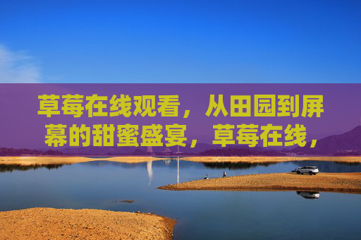 草莓在线观看，从田园到屏幕的甜蜜盛宴，草莓在线，从田园到屏幕的甜蜜盛宴