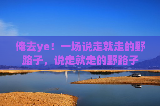 俺去ye！一场说走就走的野路子，说走就走的野路子