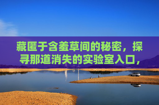 藏匿于含羞草间的秘密，探寻那道消失的实验室入口，藏匿含羞草间的消失实验室入口