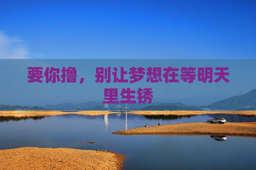 要你撸，别让梦想在等明天里生锈