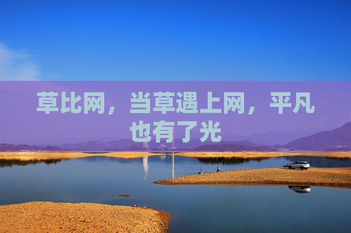 草比网，当草遇上网，平凡也有了光