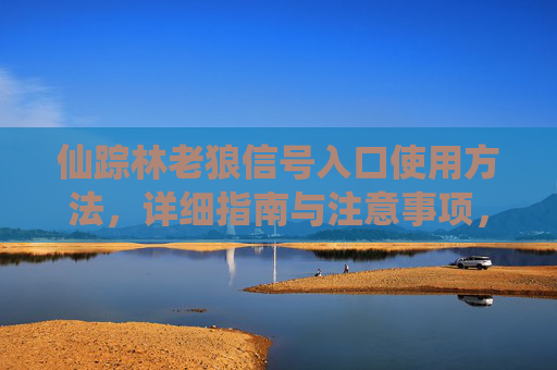 仙踪林老狼信号入口使用方法,详细指南与注意事项,仙踪林老狼信号入口使用方法与注意事项详解 仙踪林老狼信号入口使用方法,详细指南与注意事项,仙踪林老狼信号入口使用方法与注意事项详解