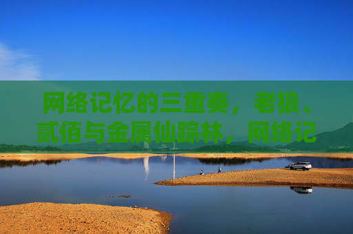 网络记忆的三重奏，老狼、贰佰与金属仙踪林，网络记忆的三重奏，老狼、贰佰与金属仙踪林