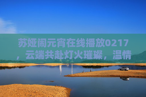 苏娅闹元宵在线播放0217，云端共赴灯火璀璨，温情满溢元宵夜，苏娅云端闹元宵，灯火璀璨温情夜