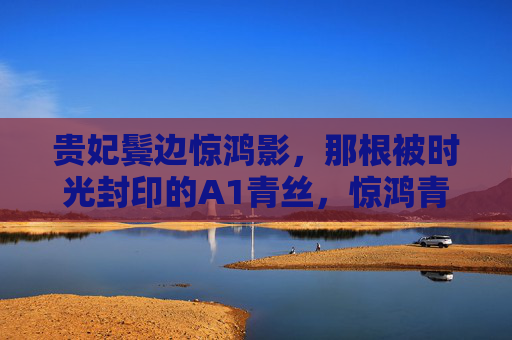 贵妃鬓边惊鸿影,那根被时光封印的A1青丝,惊鸿青丝,贵妃鬓边的时光封印 贵妃鬓边惊鸿影,那根被时光封印的A1青丝,惊鸿青丝,贵妃鬓边的时光封印