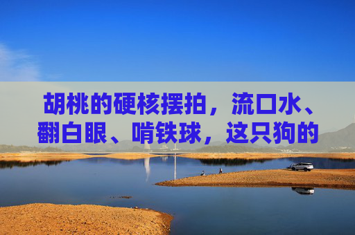 胡桃的硬核摆拍,流口水、翻白眼、啃铁球,这只狗的演技能打几分?胡桃硬核摆拍,流口水翻白眼啃铁球,演技能打几分? 胡桃的硬核摆拍,流口水、翻白眼、啃铁球,这只狗的演技能打几分?胡桃硬核摆拍,流口水翻白眼啃铁球,演技能打几分?