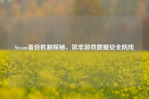 Steam备份机制探秘，筑牢游戏数据安全防线